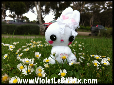 VioletLeBeaux-Plushie-Bunny-_4045_9734 copy
